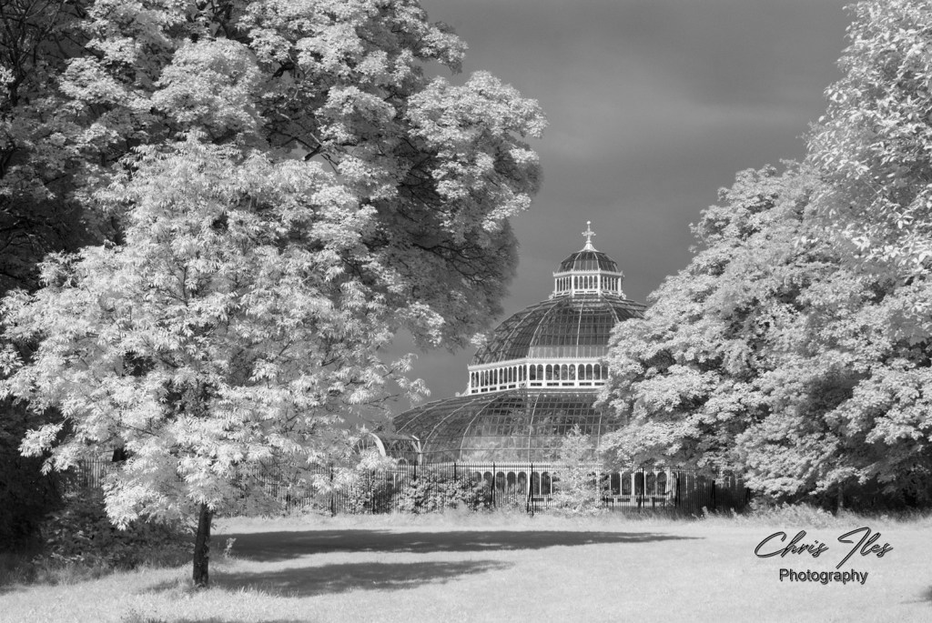 Infra-Red Photography