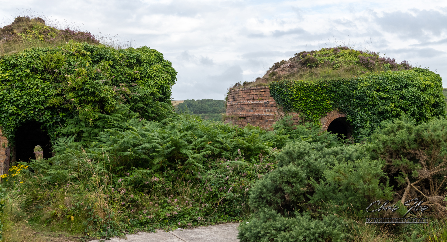 Porth Wen Brickworks, Anglesea