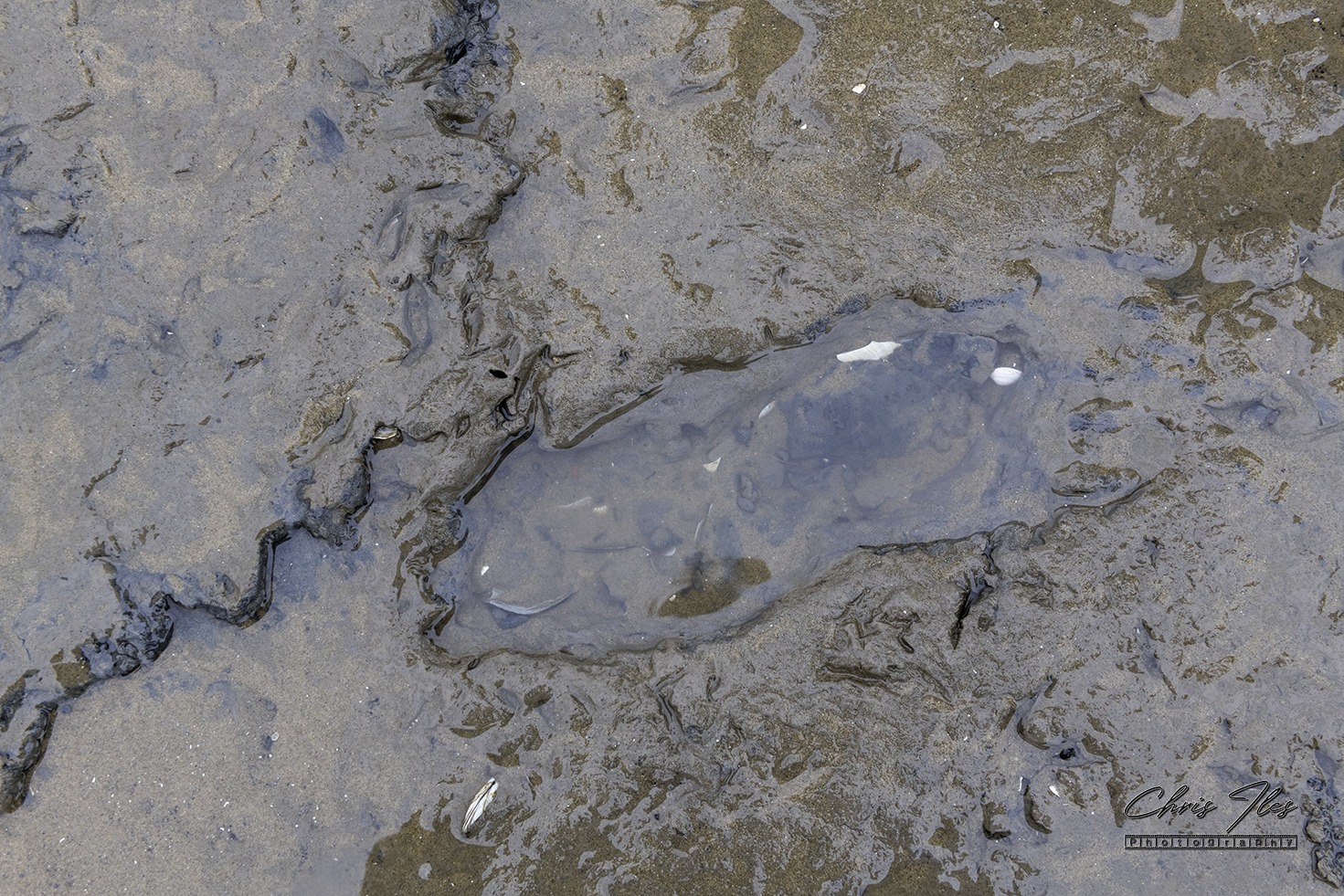 Ancient Footprints on Formby beach