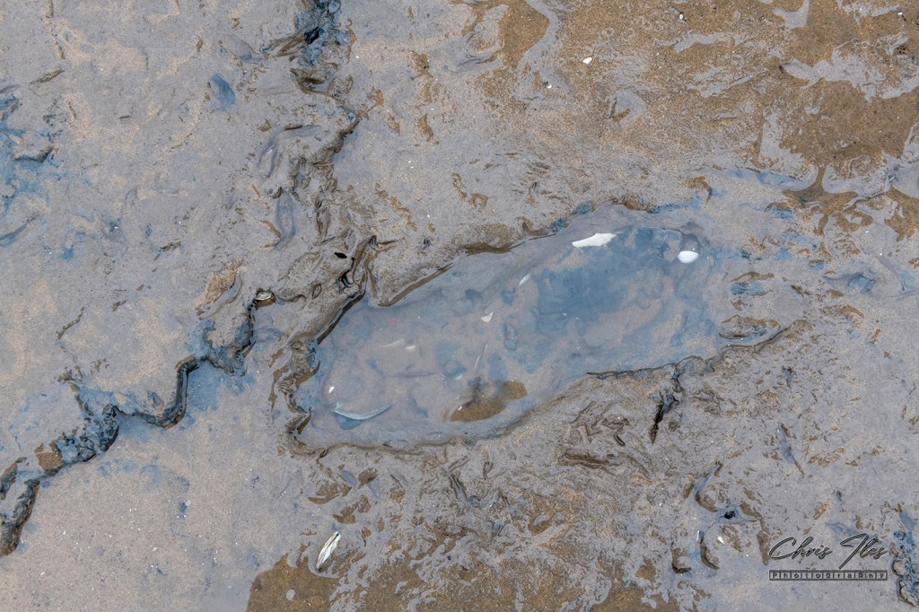 Ancient Footprints on Formby beach