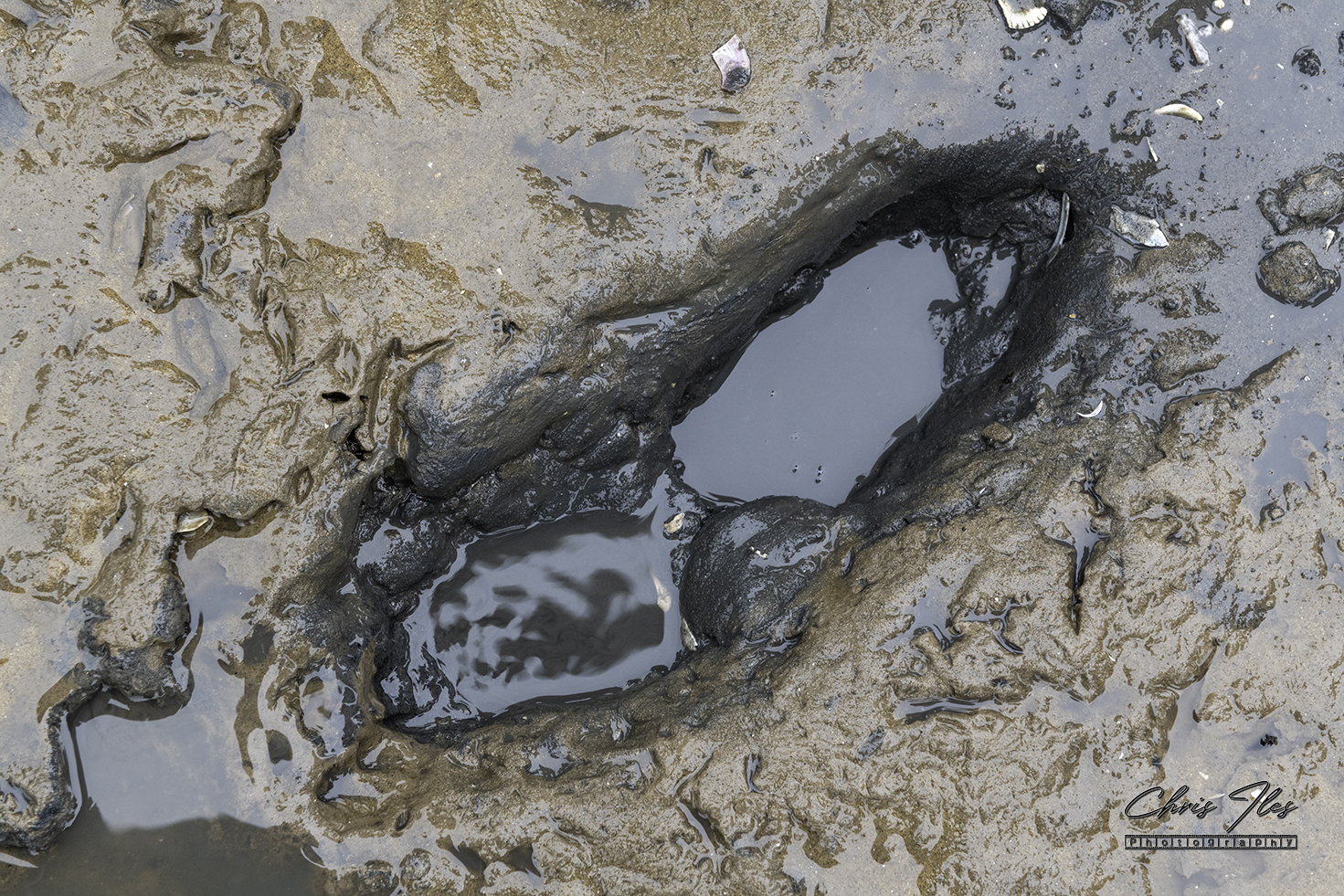 Ancient Human Footprint on Formby beach