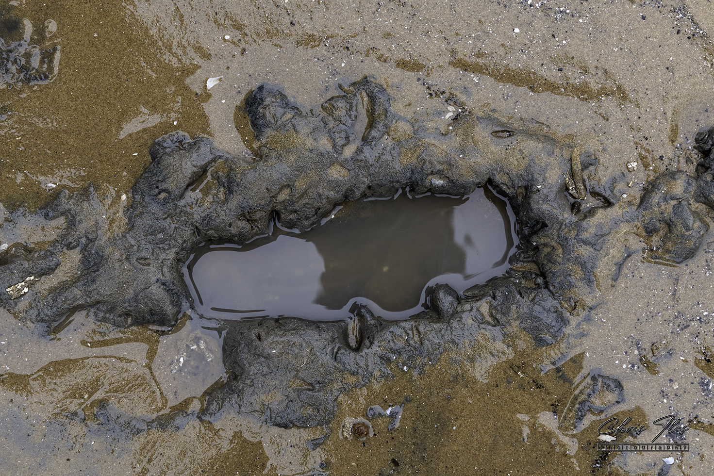 Ancient Human Footprint on Formby beach