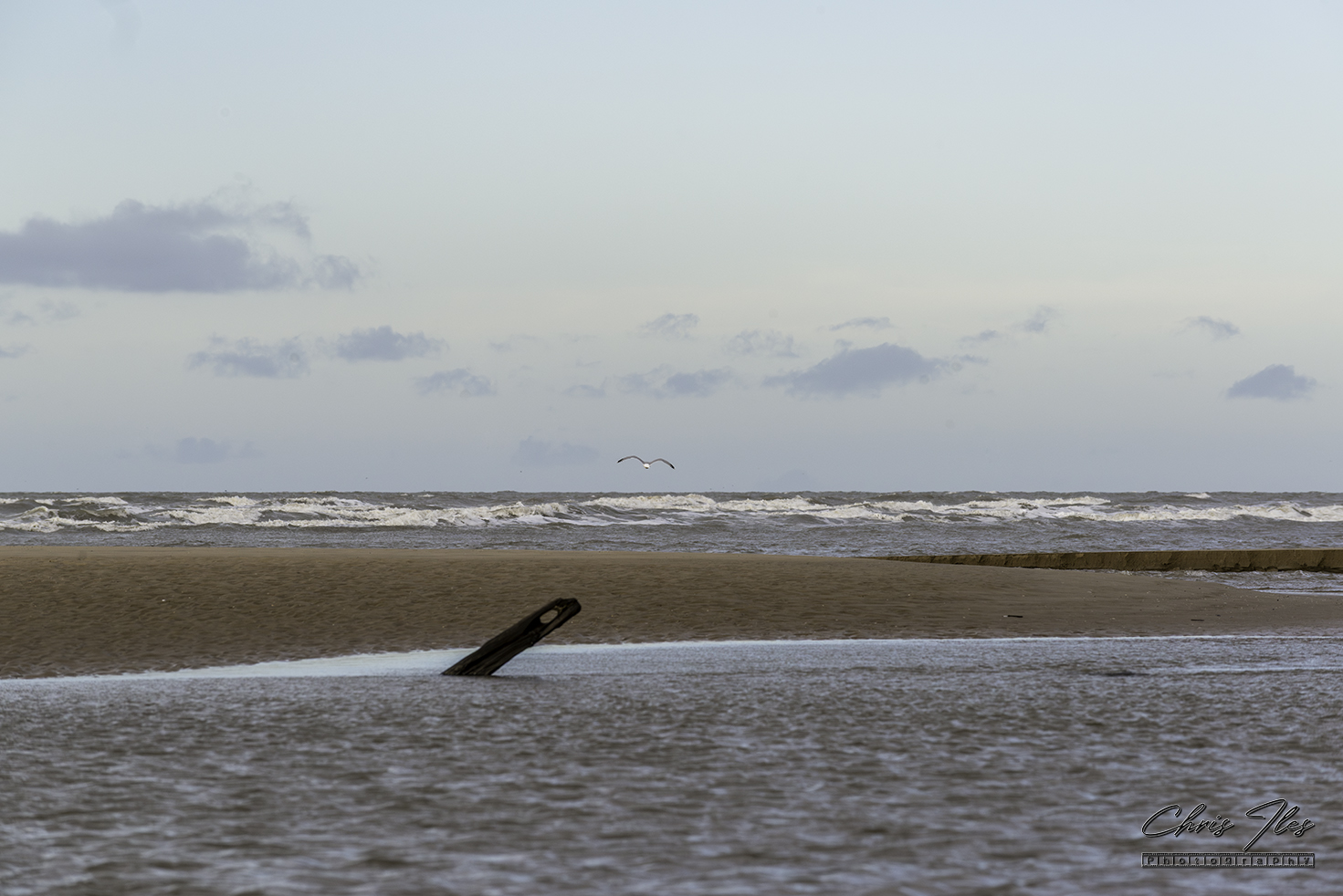 Star of Hope & Atlantic shipwrecks