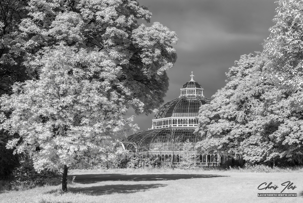 Infra-Red Photography